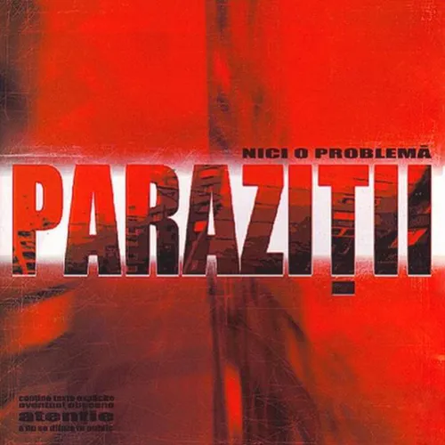 Nici o problemă