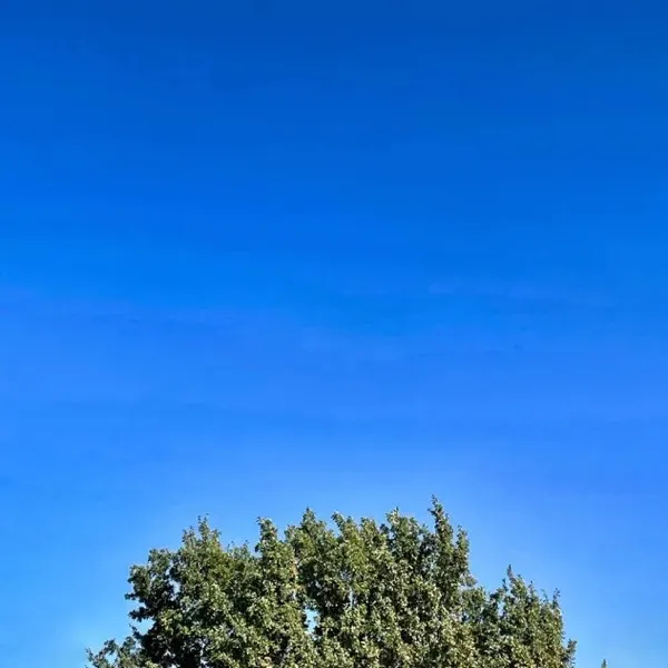 Ascultă The Worst Weather Since January de la San Mitch